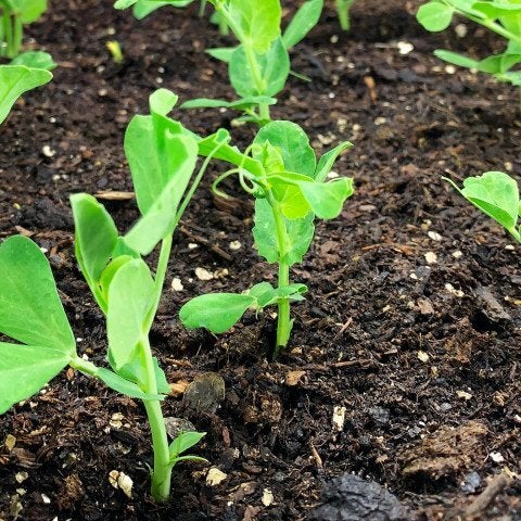 Makkelijke moestuin voeding mix 20 L