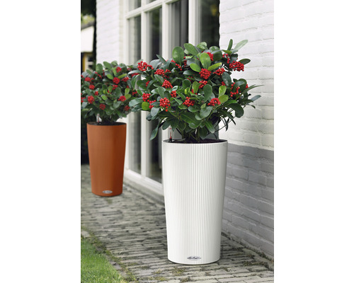 Lechuza Cilindro Color plantenbak Ø 32 cm H 56 cm wit kunststof incl. zelfbewateringssysteem, plantenbak, substraat en waterniveau-indicator
