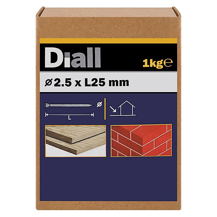 Clous de maçon en acier galvanisé 5x25 - 1kg