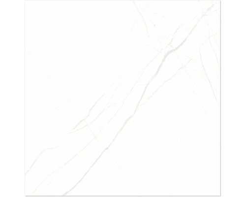 Steengoed wand- en vloertegel Davos wit 60 x 60 x 0,9 cm glanzend