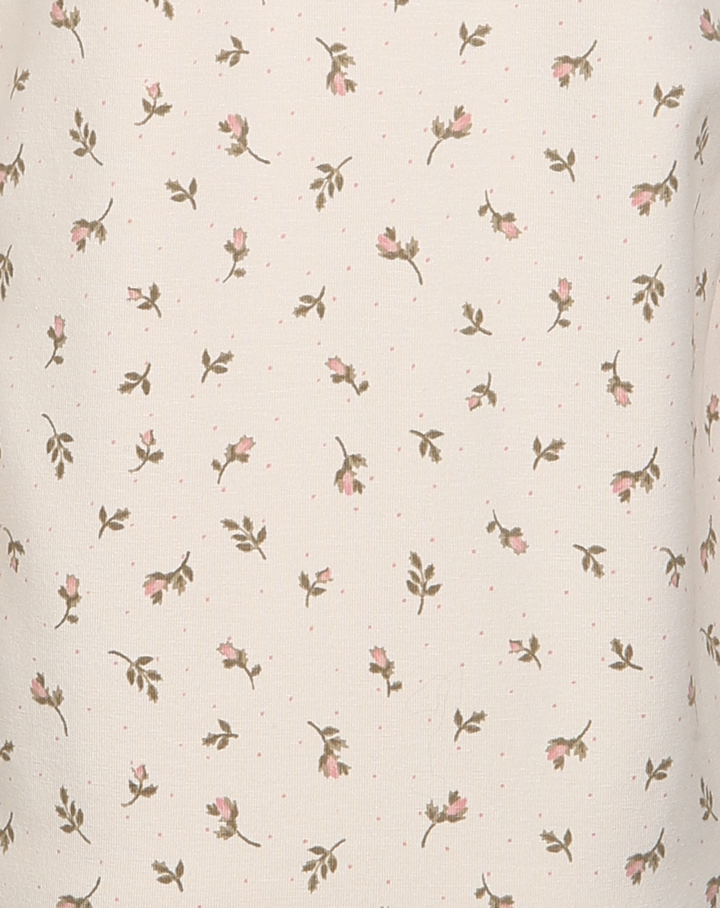 Langarmshirt TARAN - LITTLE ROSE in beige