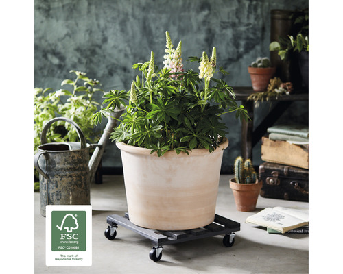 Wagner plantenwagen 38 x 38 x 9,5 cm hout antracietgrijs