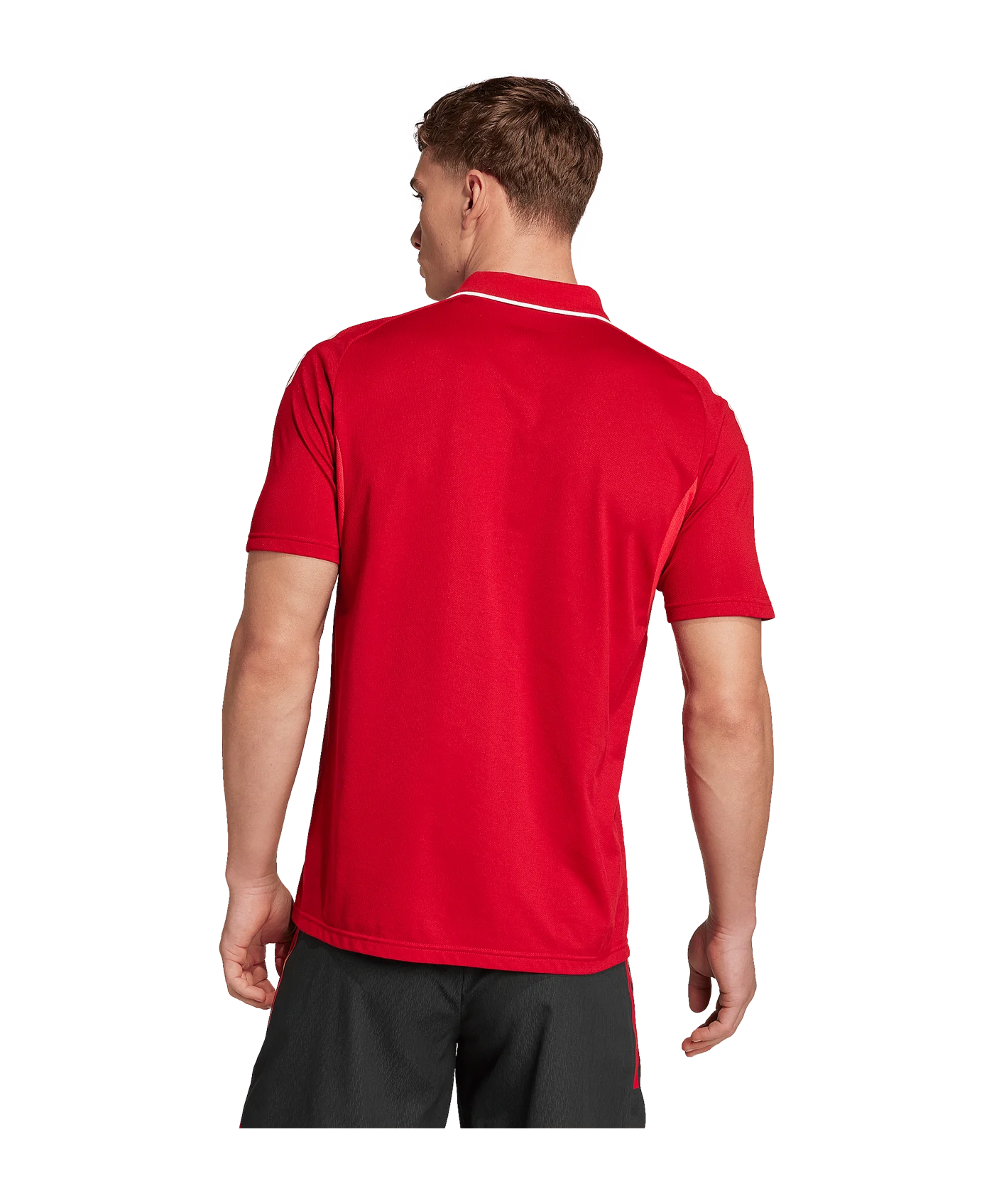 adidas Tiro 25 Competition Polo Rot
