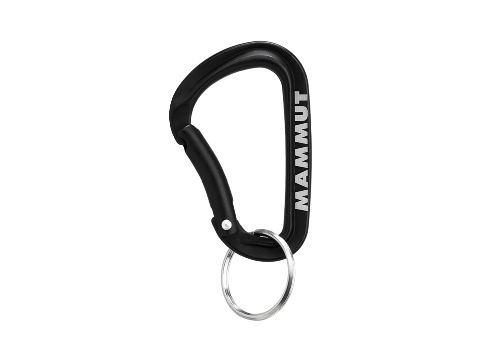Mini Carabiner Classic Keylock S