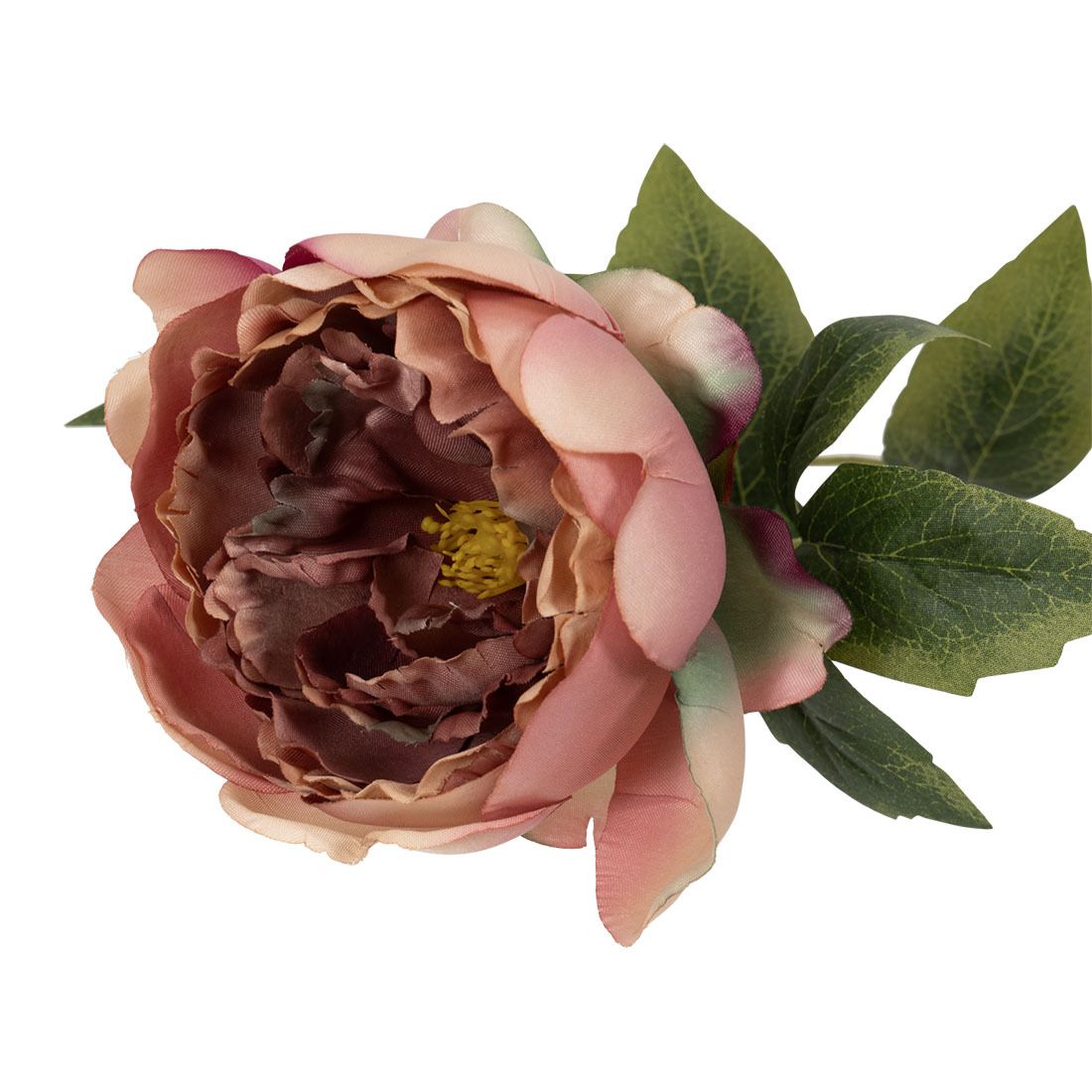 Peon blomst