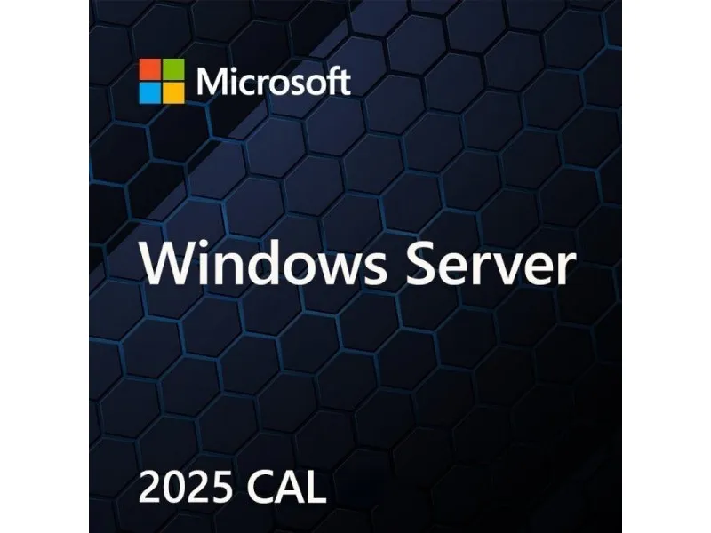 Microsoft Windows Server 2025 Standard - Licens - 5 brugere-CALs - OEM - Polish