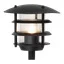Pullert 24 V 60 cm 160 lm