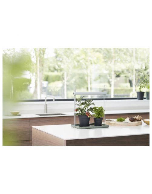 Elho Light Garden - Kweekbenodigdheden - 39x48x27 cm Lichtgroen