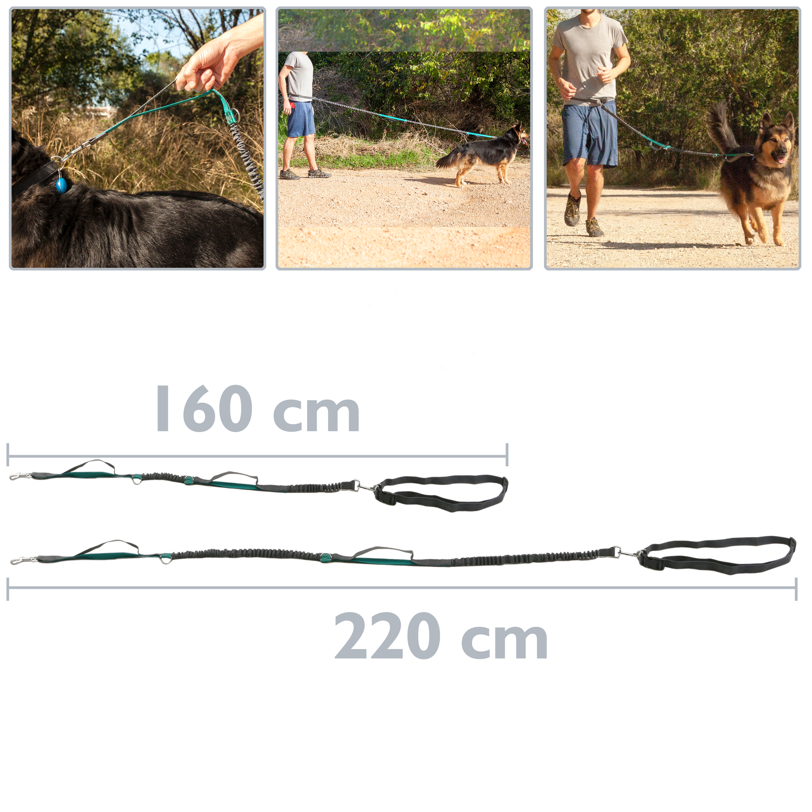 Guia ajustável para cães de corrida, de 160 a 220 cm. Guia elástica, refletora e com cinto para uso com as mãos livres.