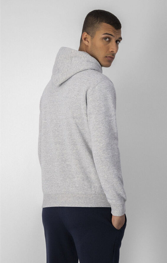 Champion Script Logo Fleece hættetrøje Grå