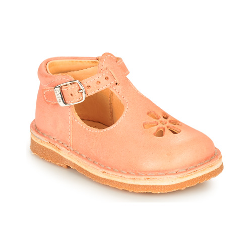 Aster - BIMBO-2 - Rose