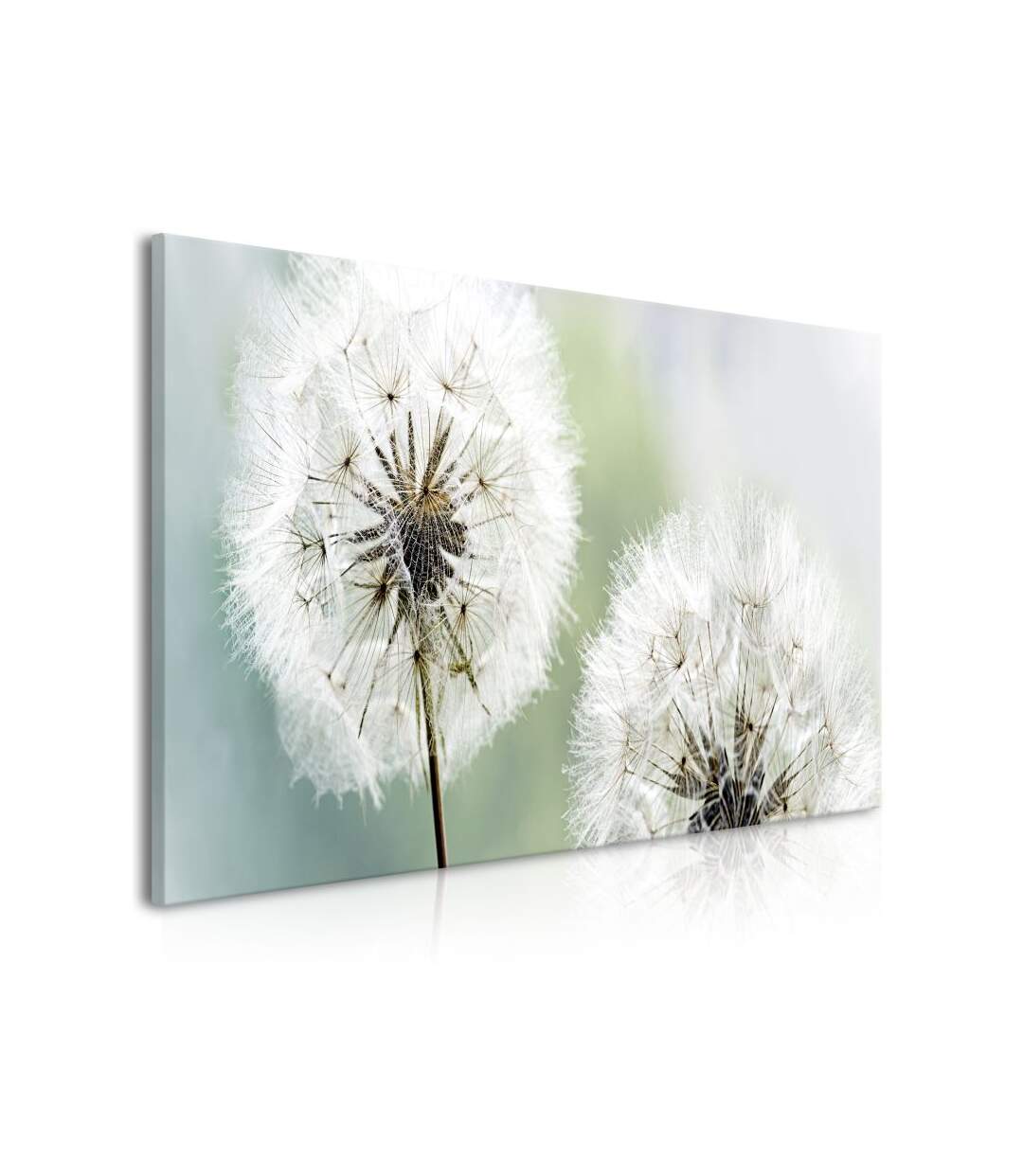 Paris Prix - Tableau Imprimé fluffy Dandelions Green Wide 45x100cm