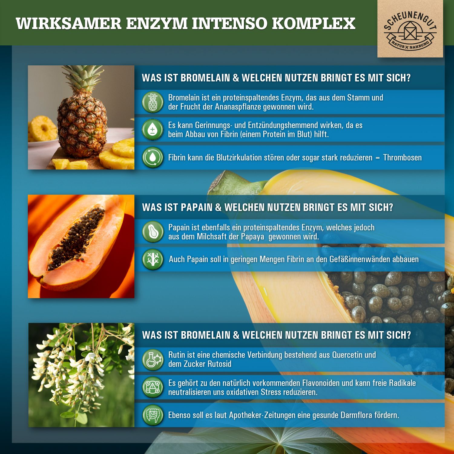 Scheunengut® Enzym Intenso | 2.500 GDU/g Bromelain, 6.000 USP-U/mg Papain PLUS Rutin Komplex