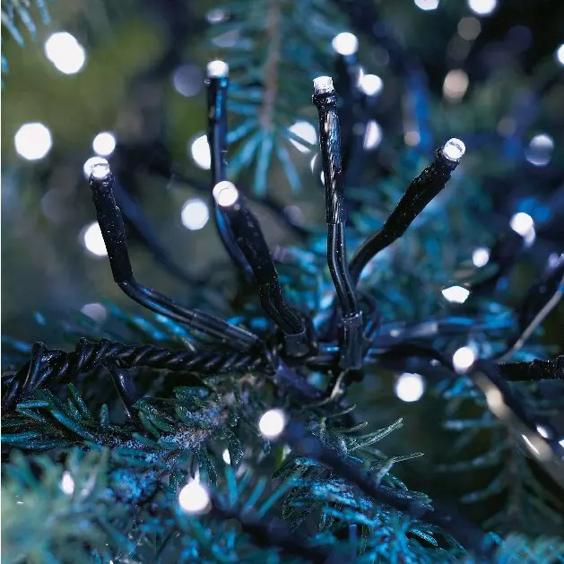Guirlande lumineuse à piles 2 m 192 LED câble noir Grappe Durawise Blanc froid