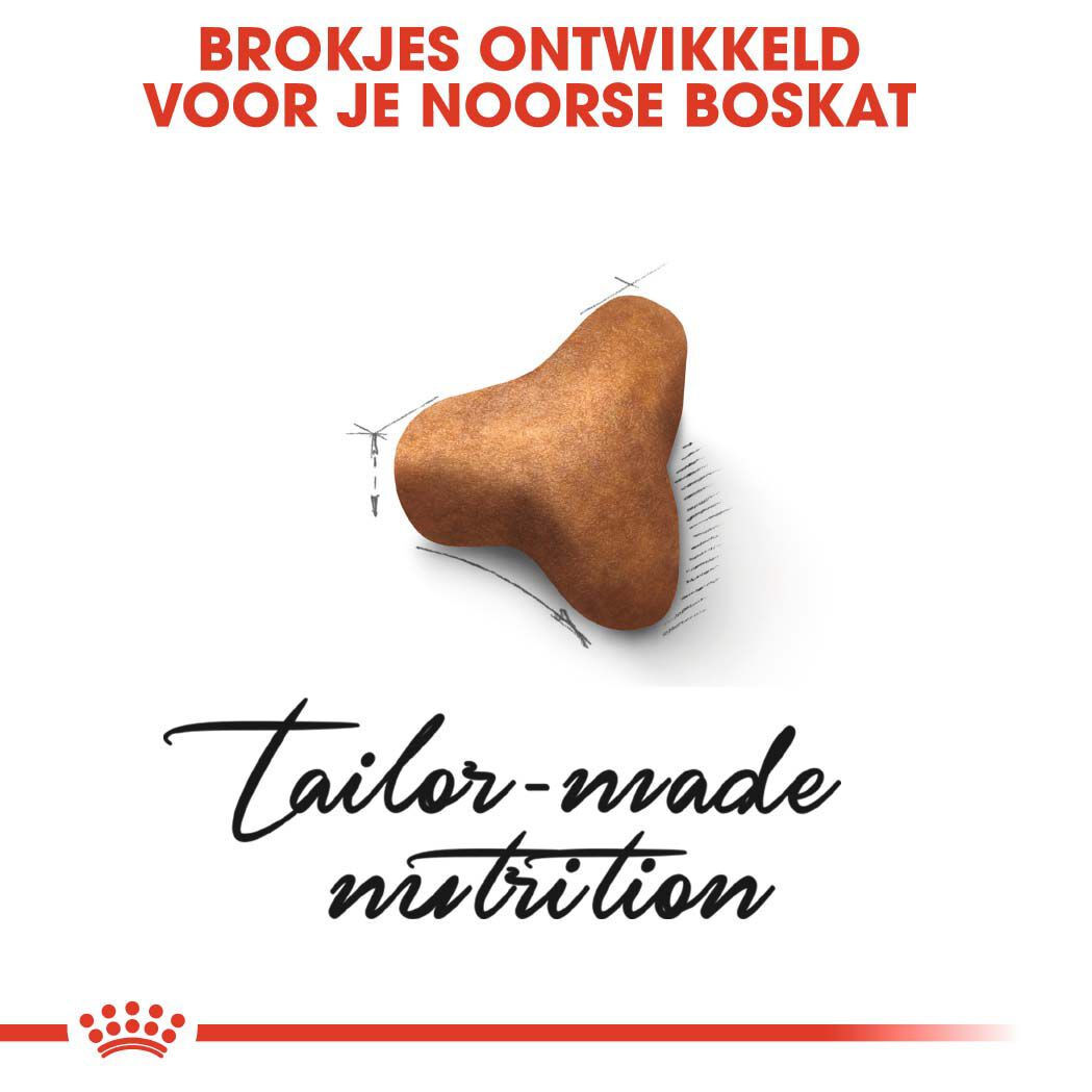 Royal Canin Noorse Boskat Adult - Kattenvoer - 10 Kilogram - Gevogelte