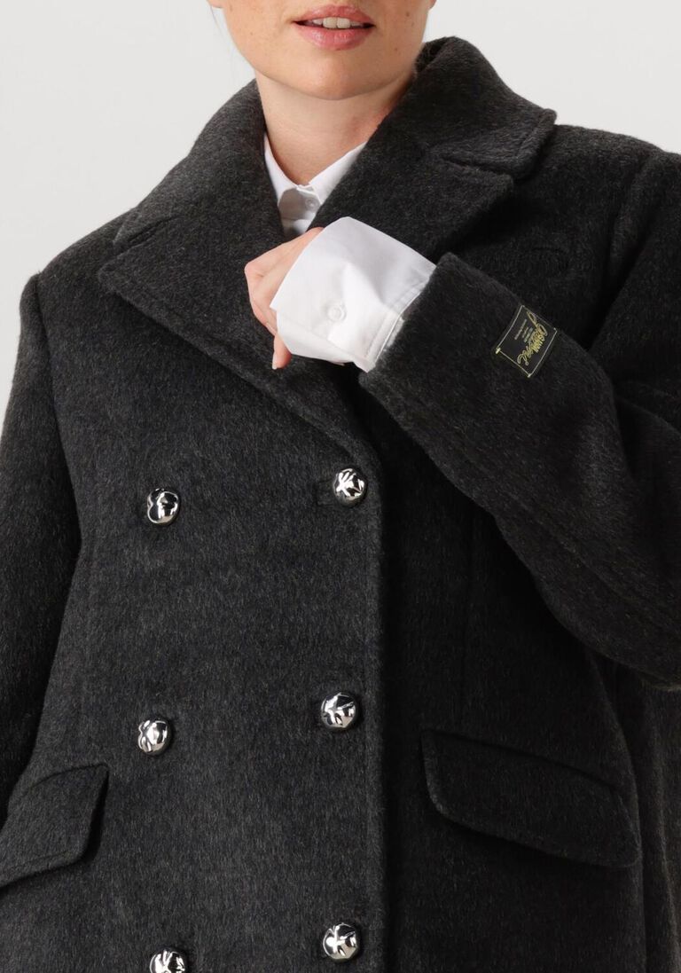 grijze ganni blazer w0567