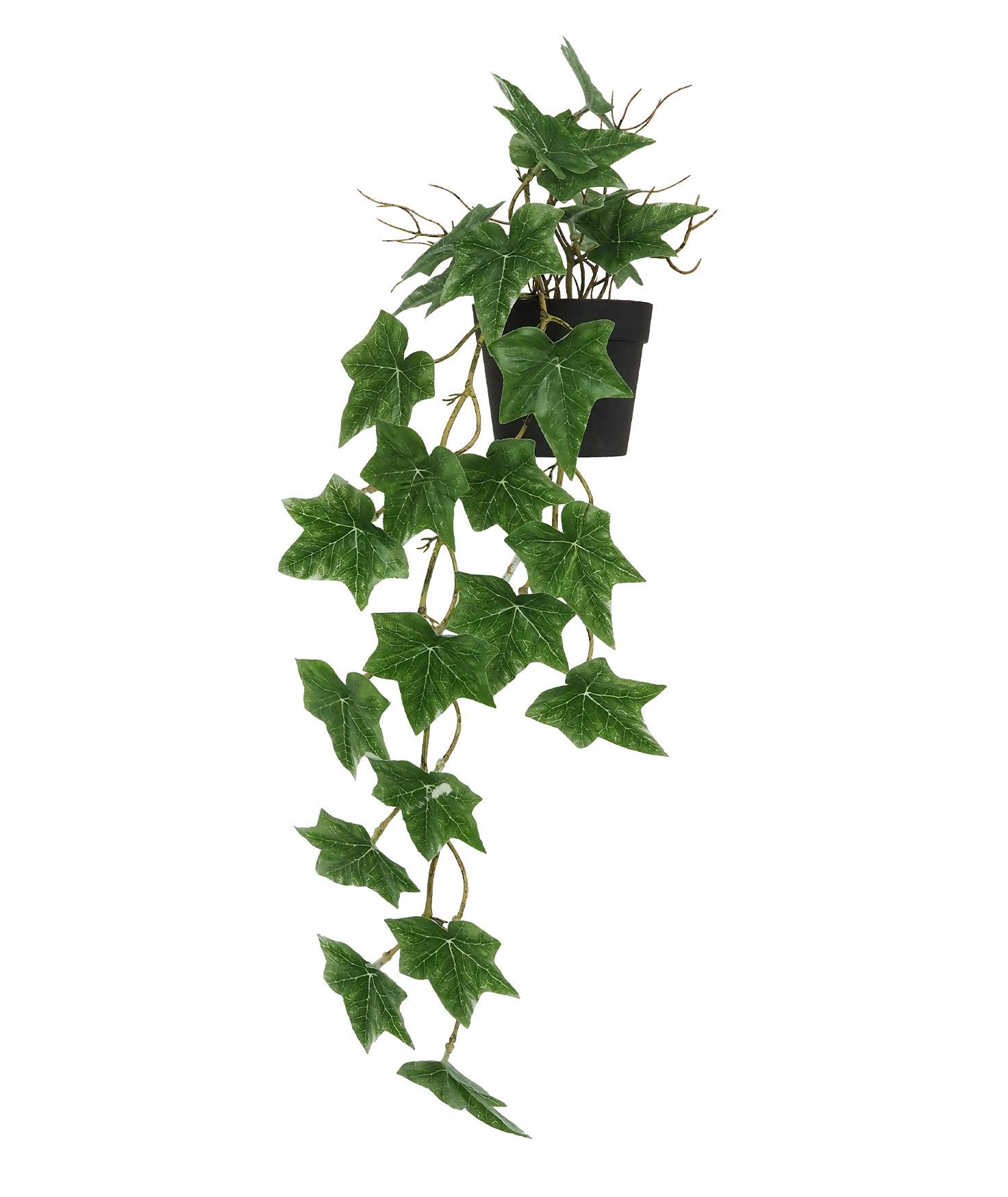 LIERRE RETOMBANT POT PLASTIQUE NOIR L.51CM