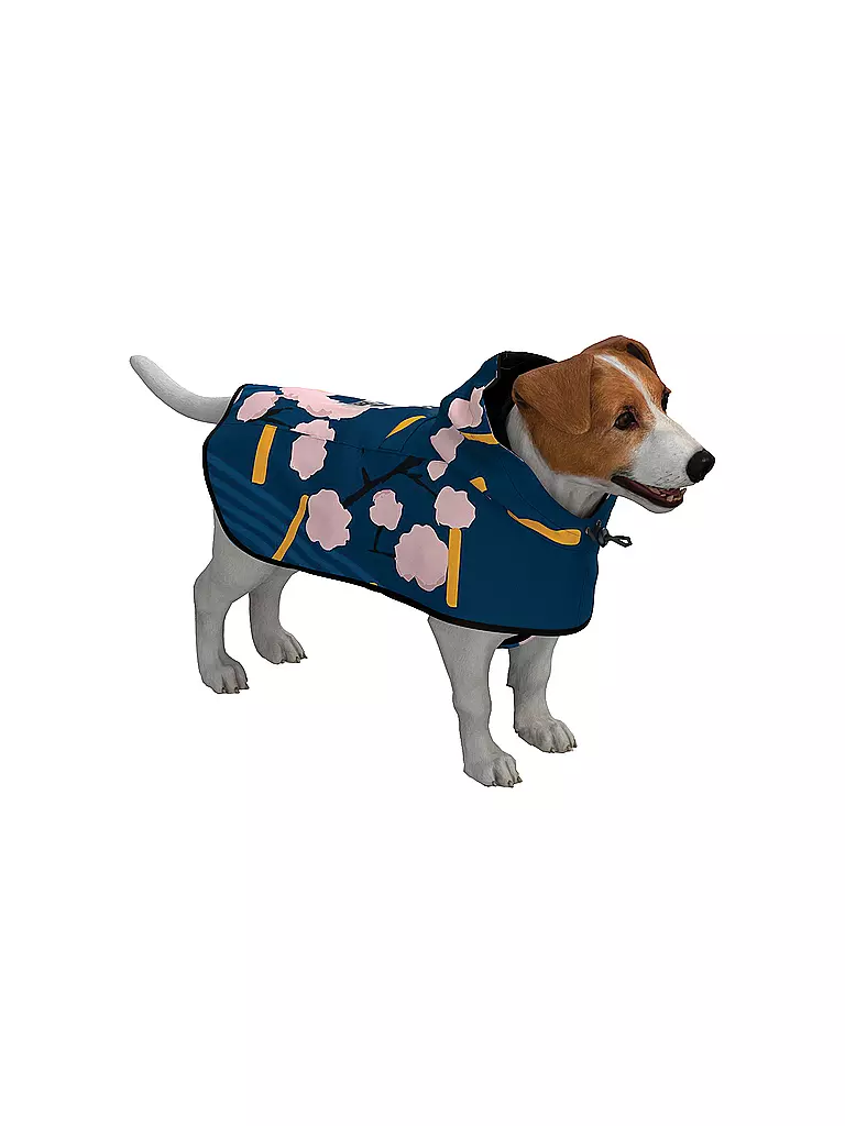 RAINKISS Hunde Regenponcho blau