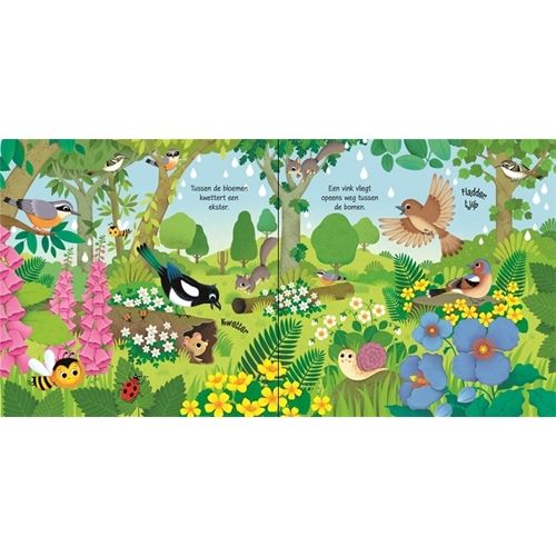 Uitgeverij usborne geluidenboek vogels