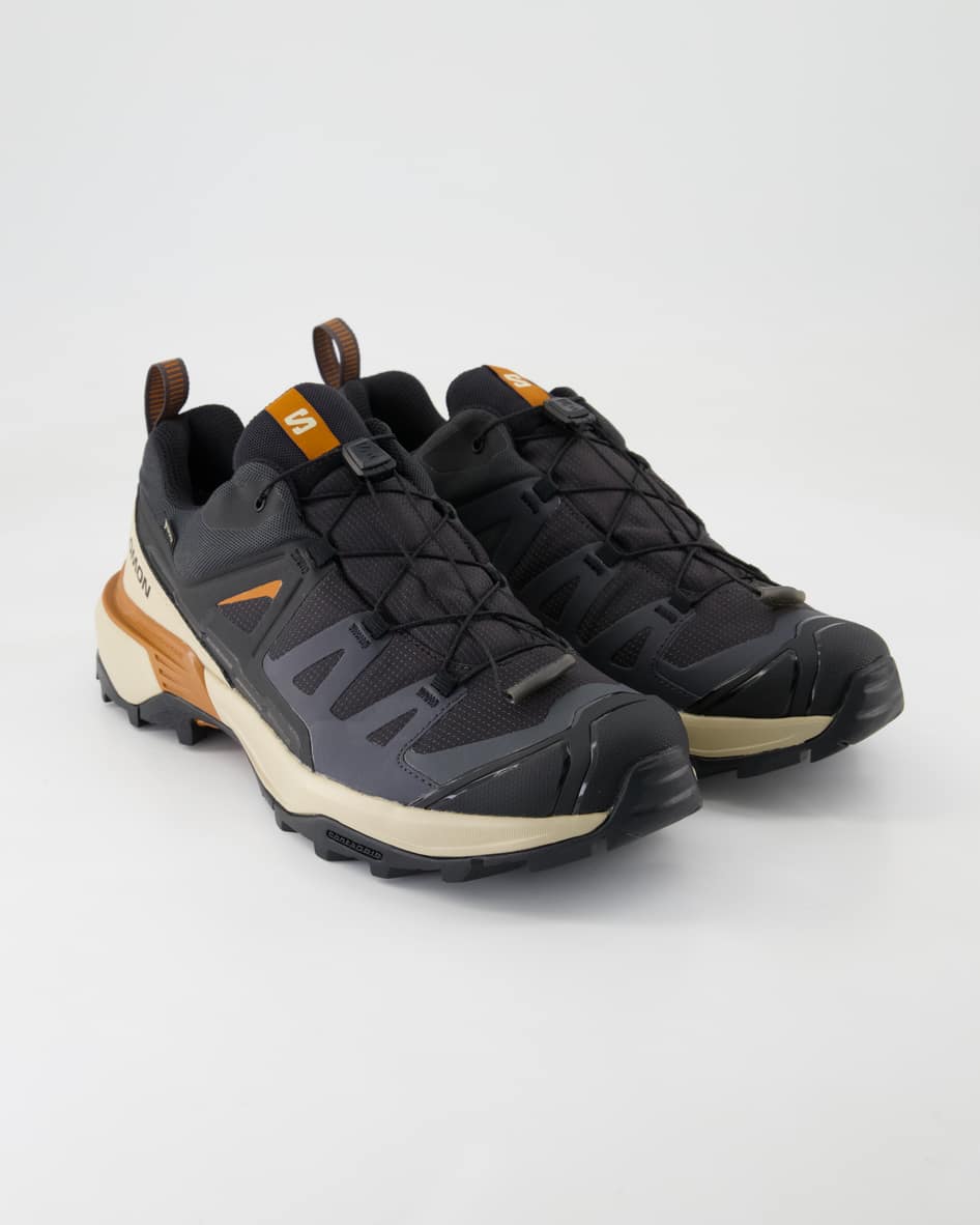 Salomon X Ultra 360 GTX Sportschuhe in Grau