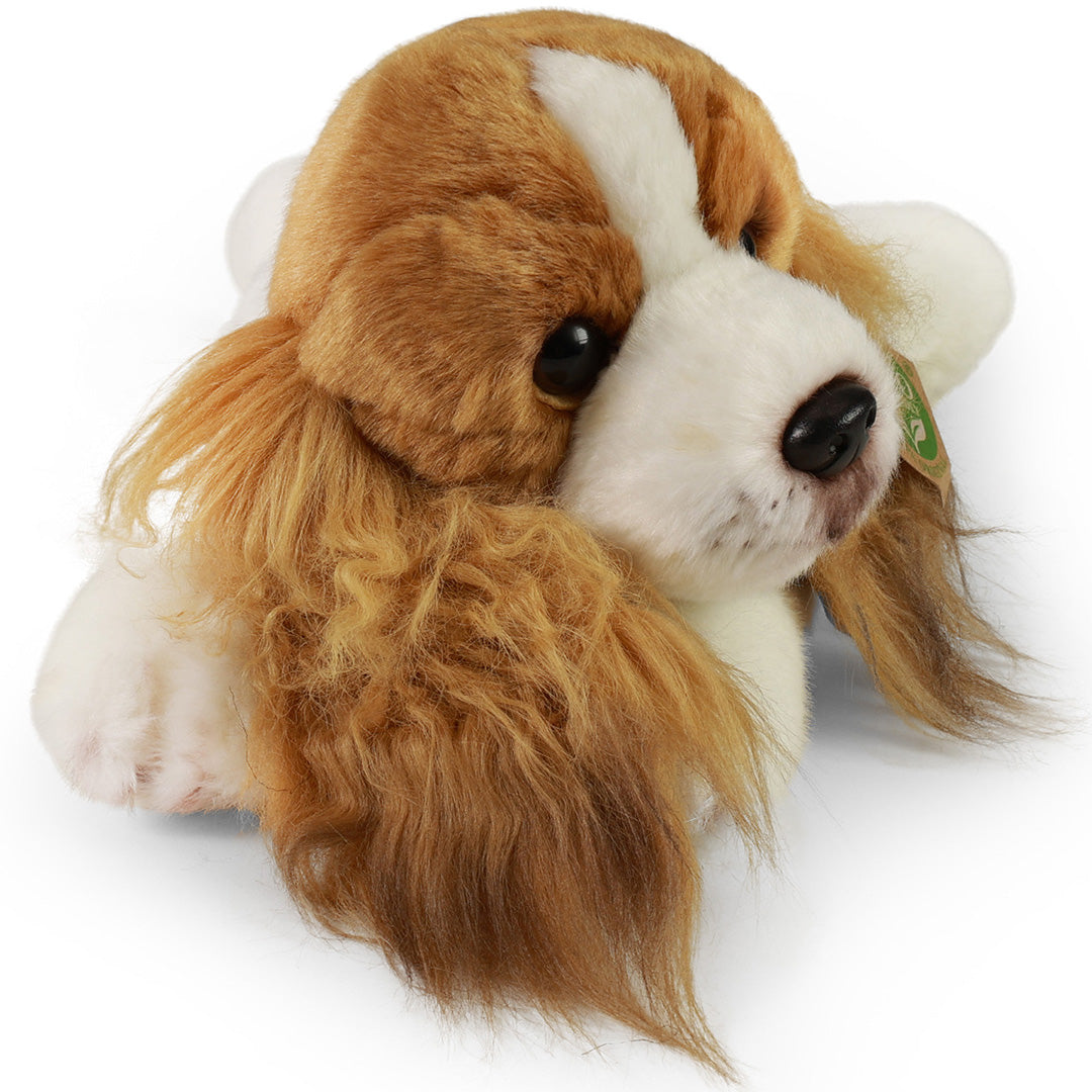 rappa knuffelhond cavalier - 30 cm