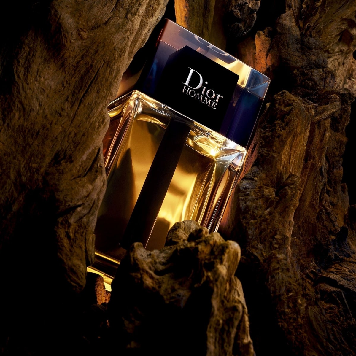 Dior Homme Dior Homme Eau de Toilette