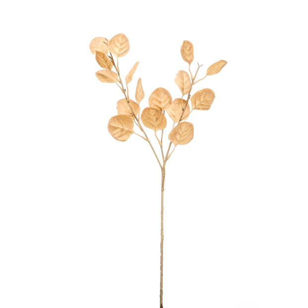Blokker Kunstbloem Eucalyptus - 67 cm - Beige