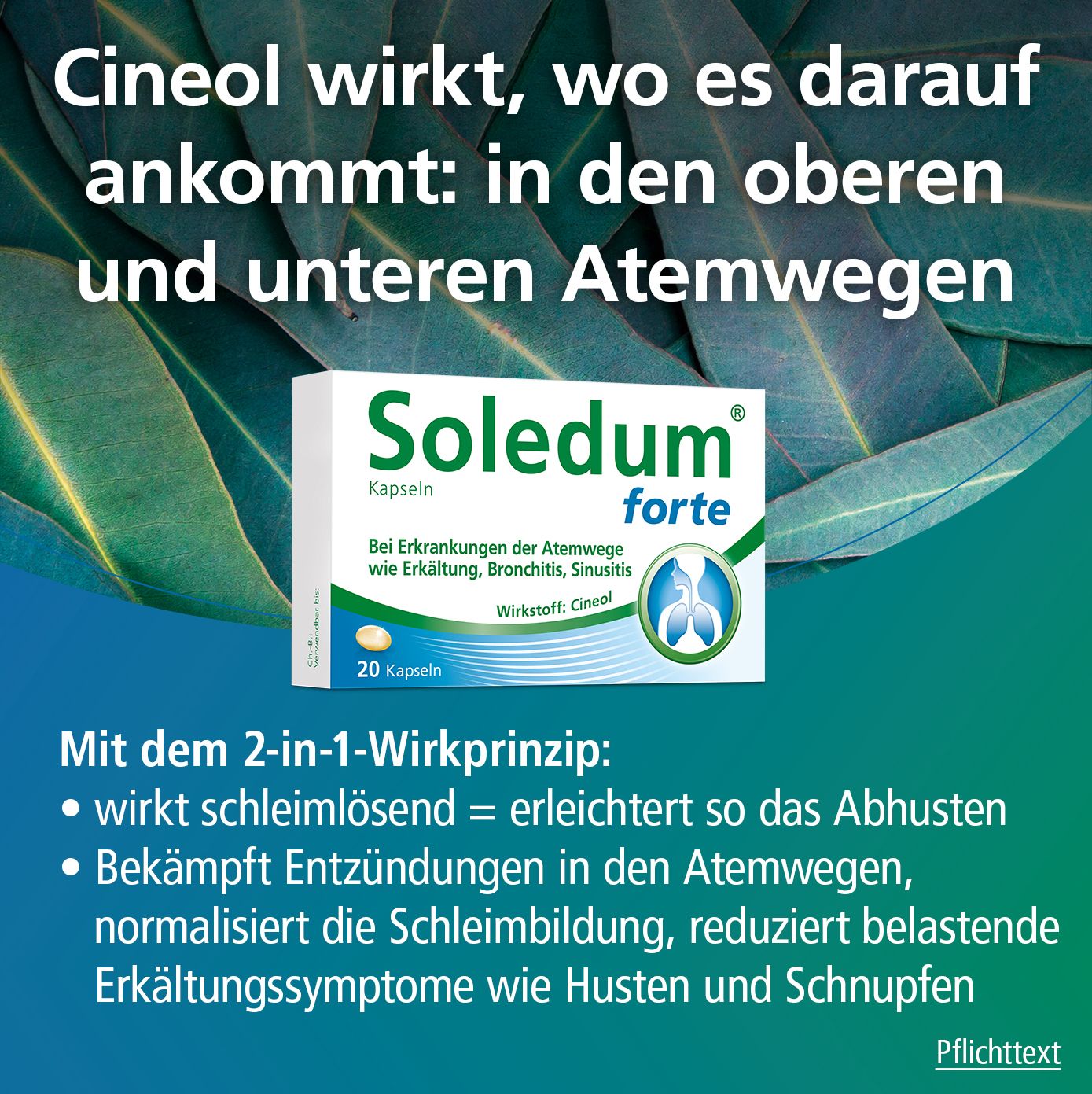 Soledum® forte Kapseln bei Erkältung, Bronchitis & Sinusitis