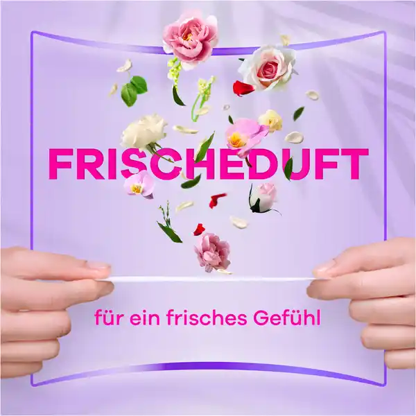 Daily Protect Slipeinlagen Long mit Frischeduft Big Pack