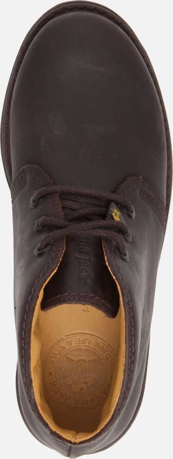 Panama Jack Bota Panama 201 C2 Brown Donkerbruin Veterboot