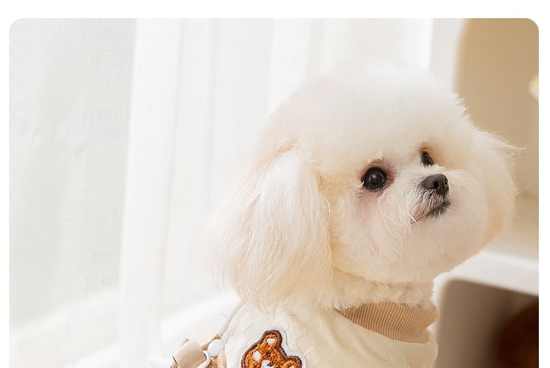 Cissilli - Bear Checker Pet Top