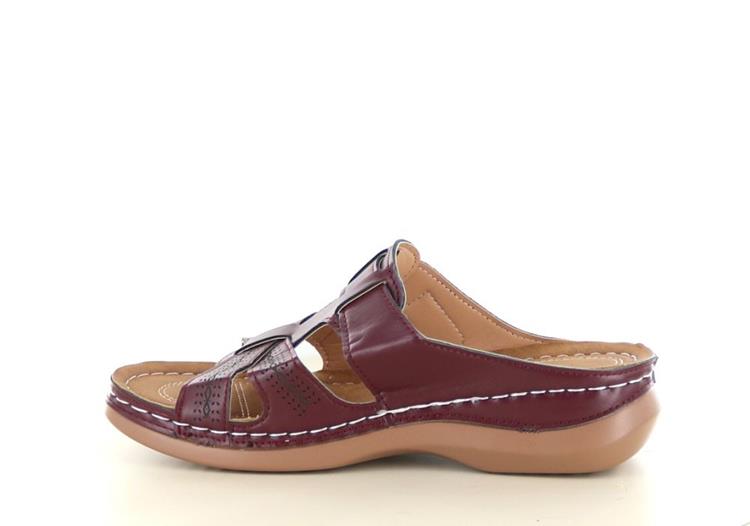 Hafjes Roma Plum