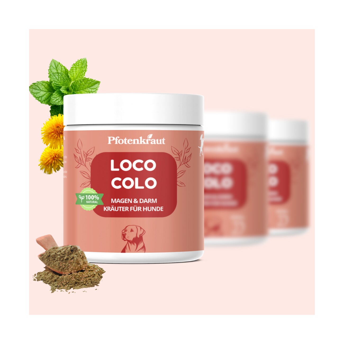 Pfotenkraut Darm Kräuter LOCO-COLO 200g
