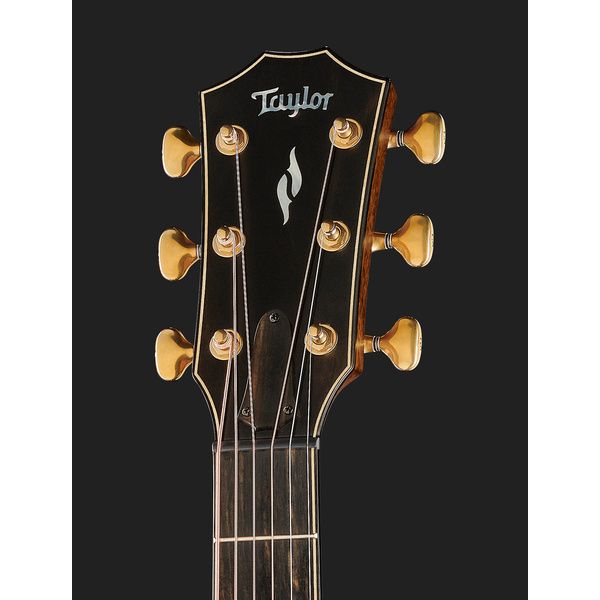 Taylor 814ce Builders Edition Blackt