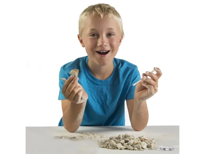National Geographic Shark Teeth Dig Kit