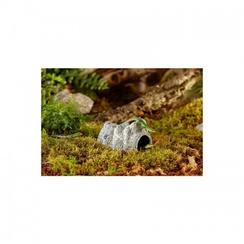 Caverna úmida Exo Terra