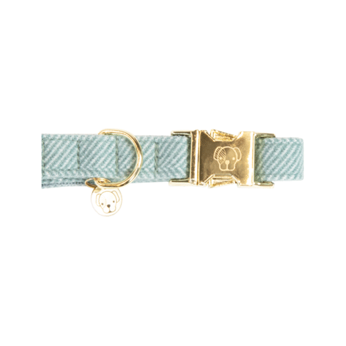 Kentucky Dogwear Hondenhalsband Wool