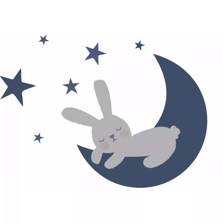 Liliput Langarmshirt Mond mit Hase hellblau