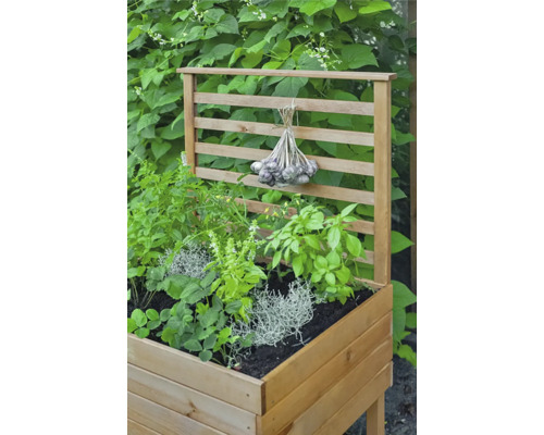 Trellisbevestiging dobar Kubus 78 x 5 x 78 cm lichtbruin