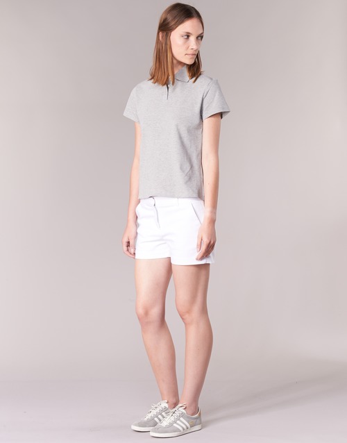 BOTD - ECLOVERA - Gris