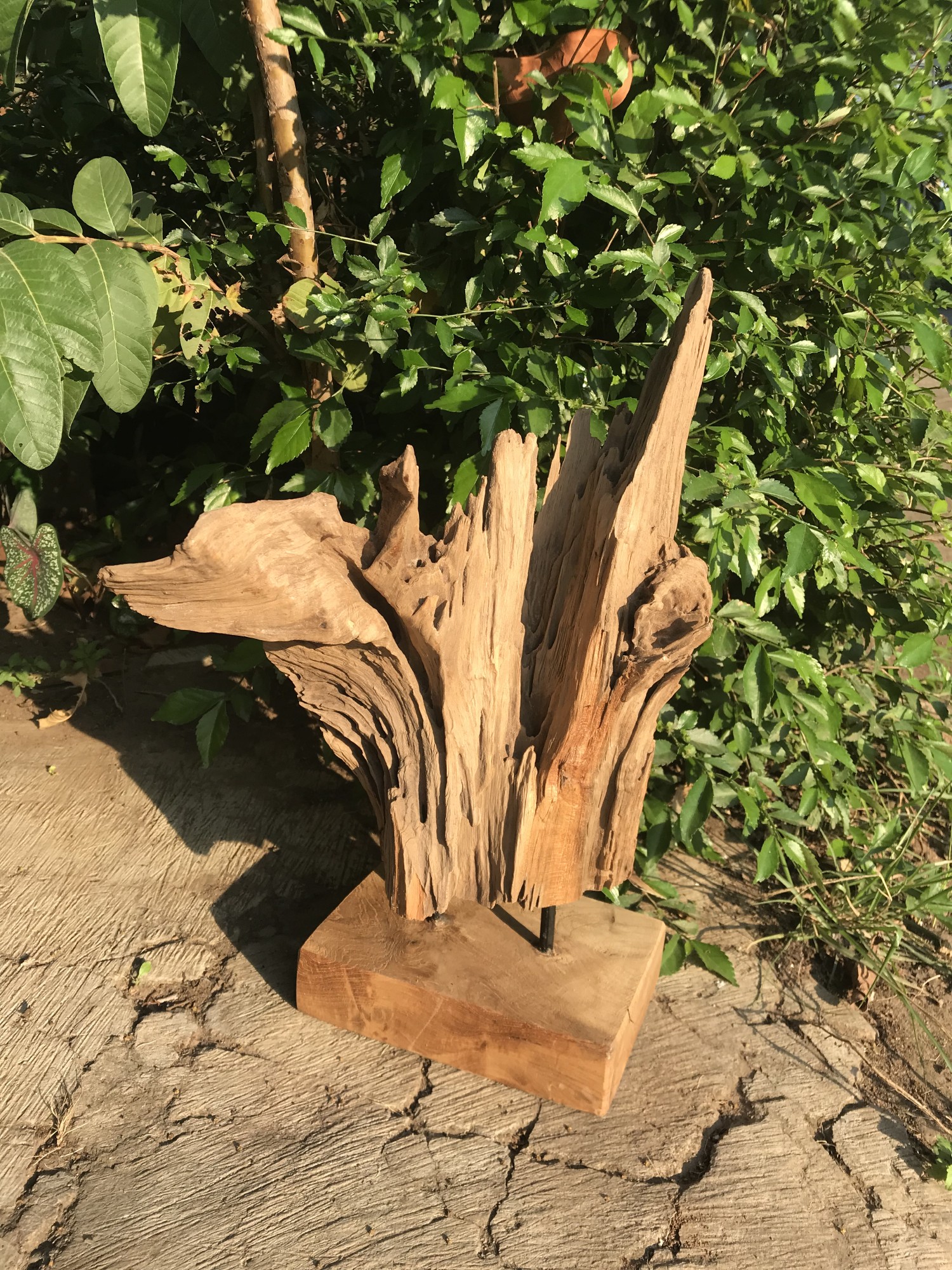 Wurzelholz-Skulptur, natur, H 35 cm von fischer's lagerhaus