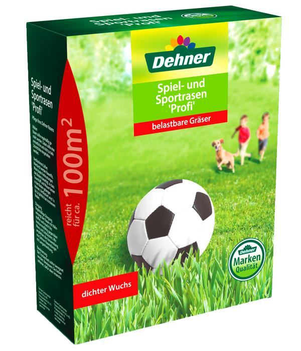Dehner Saatgut Spiel- und Sportrasen 'Profi'