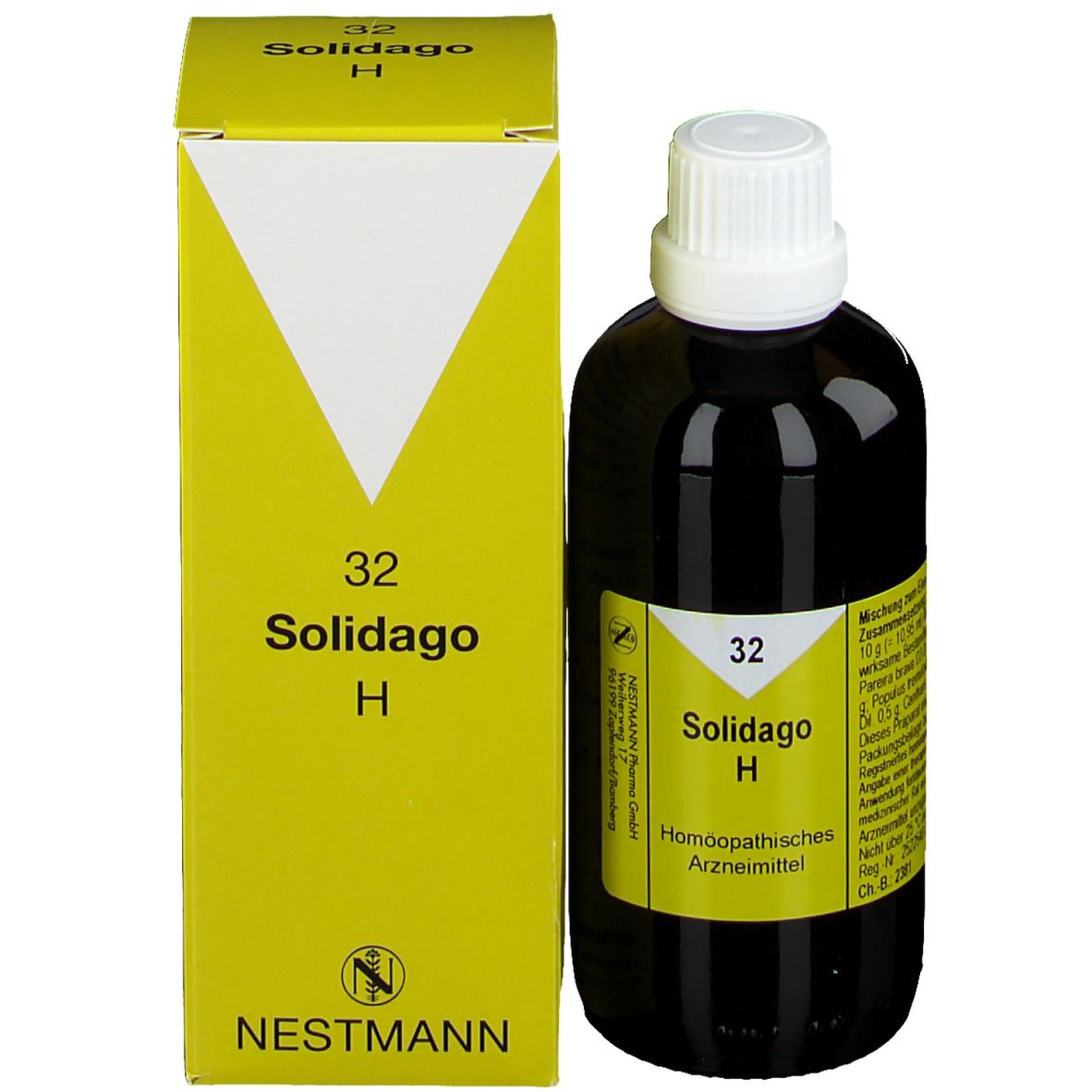 32 Solidago H