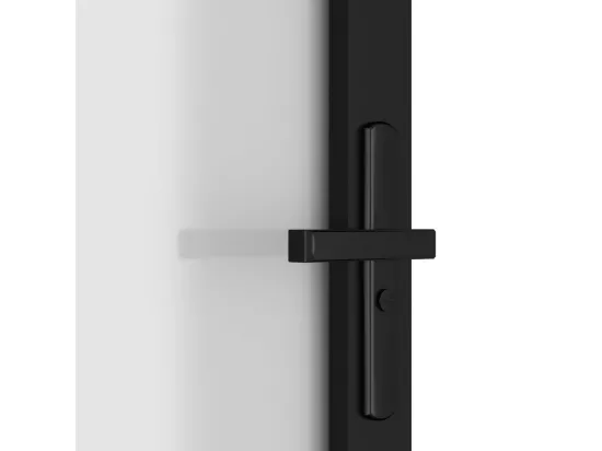 Porte intérieure 102,5x201,5 cm Noir Verre mat et aluminium