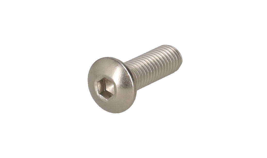 Unbracobolt M5X15mm rustfri rundt hoved