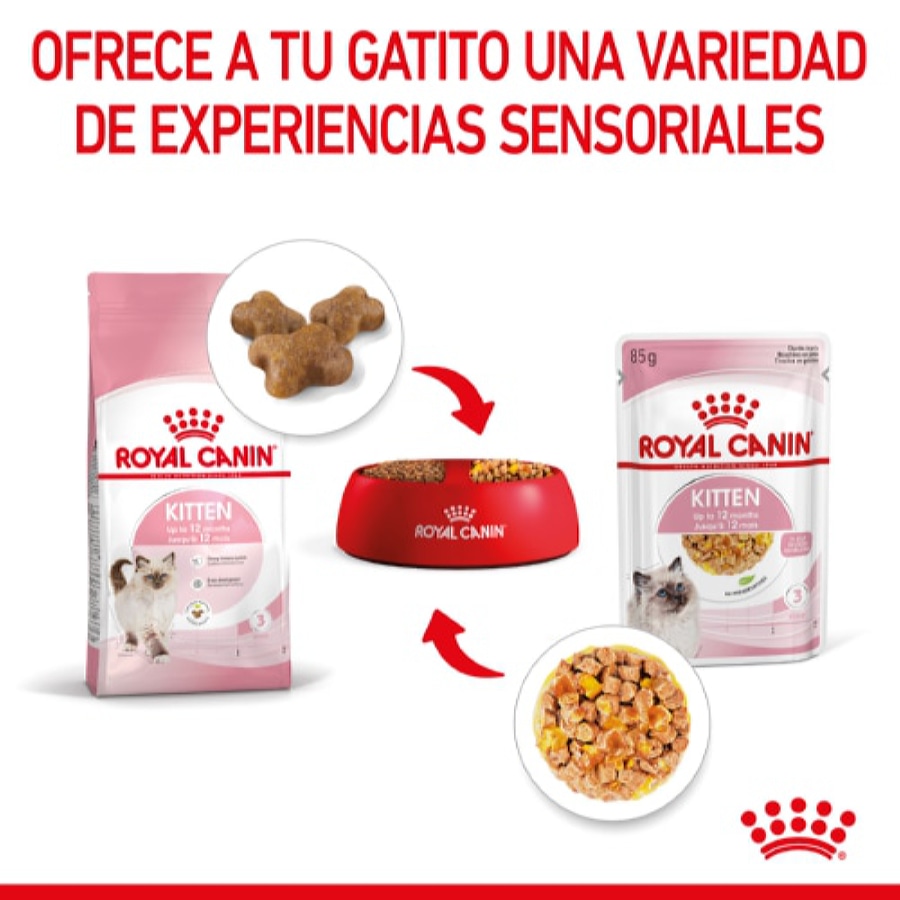 Ração úmida Royal Canin Kitten em sachê de gelatina para gatinhos.