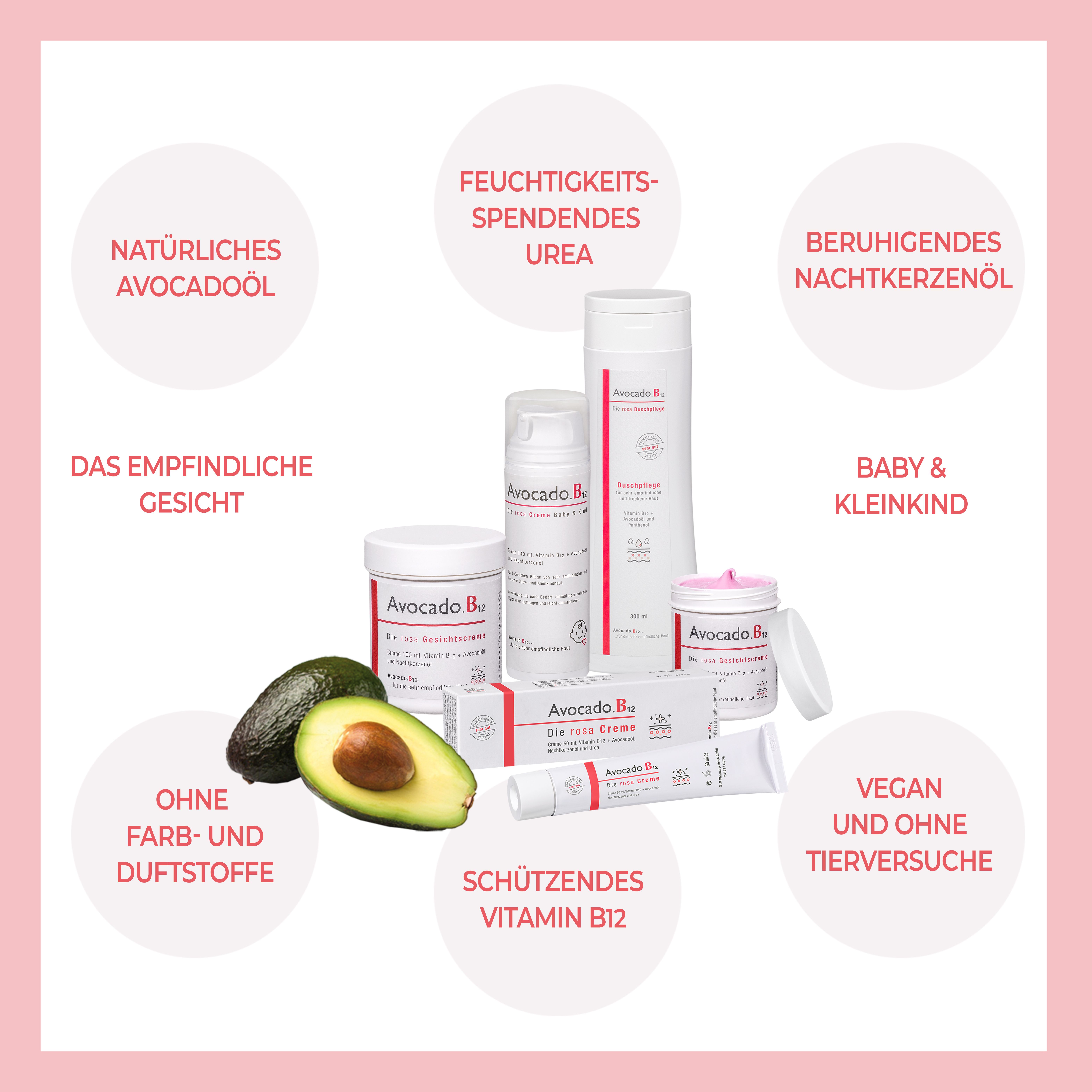Avocado.B12