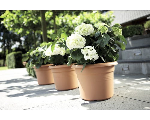elho Green Basics plantenpot, kunststof, Ø 55 cm, H 41 cm, terracotta