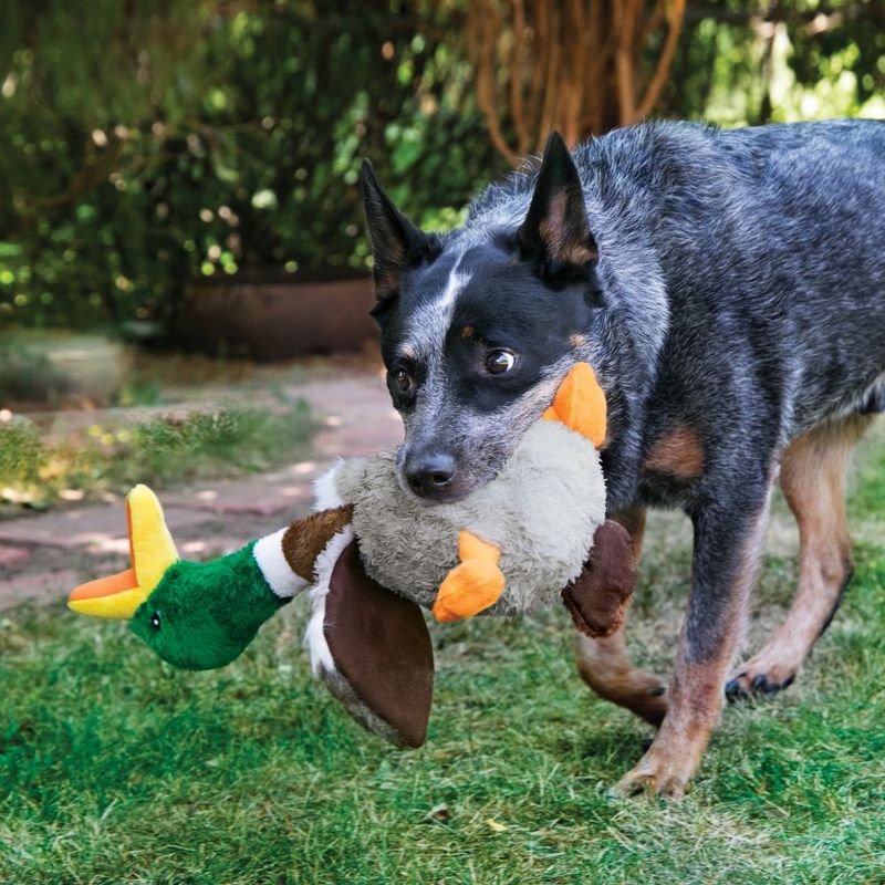 Jouet KONG Shakers Honkers Canard pour chien