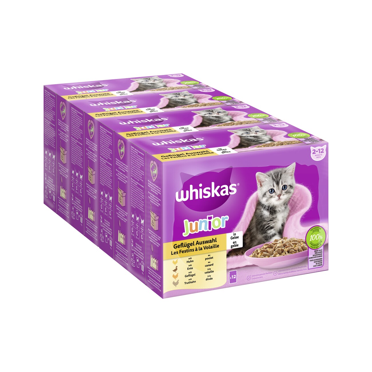 Whiskas Multipack Junior Geflügel Auswahl in Gelee 12 x 85g